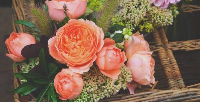 Sharon Louise Hugelman