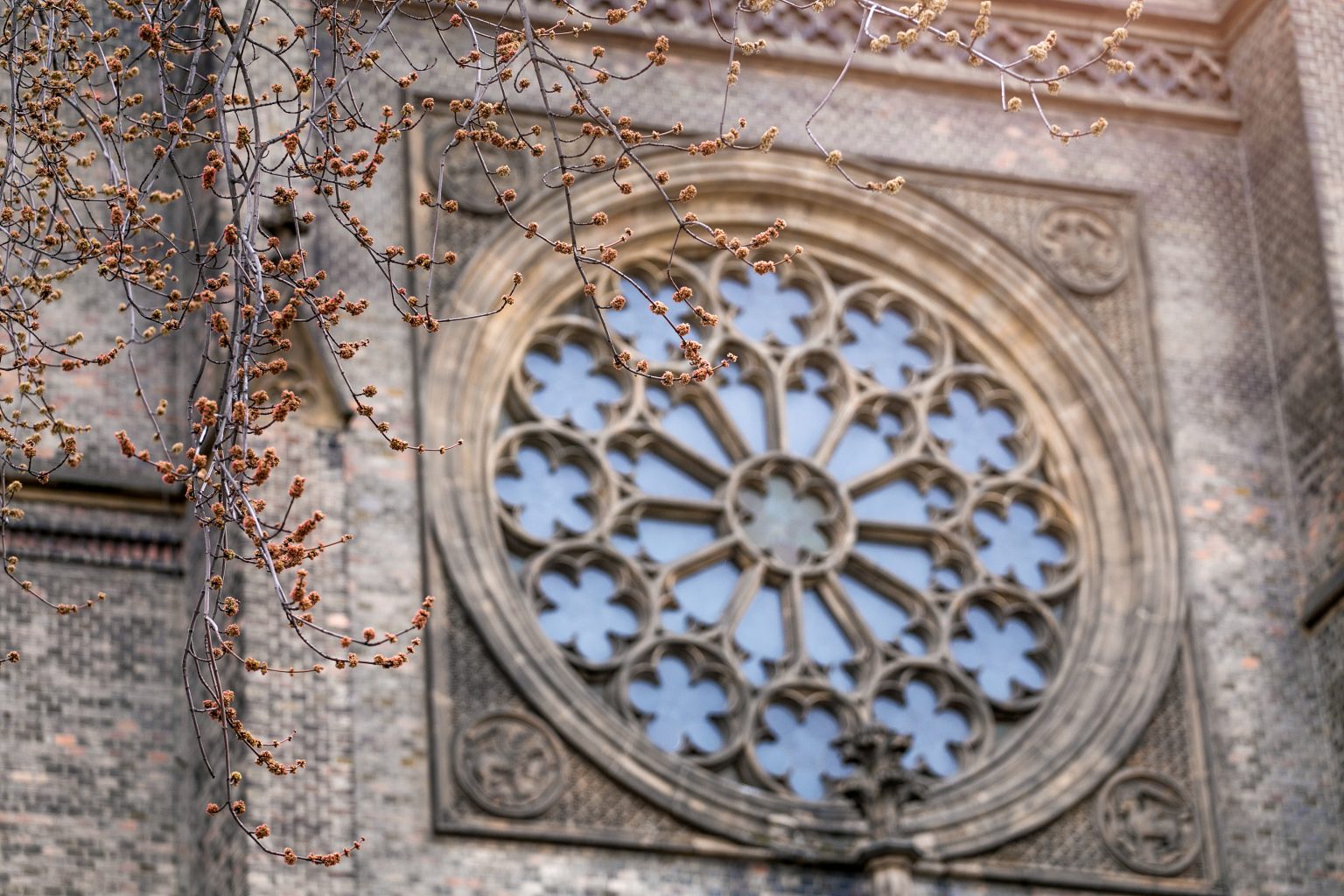 Funeral Services Roper and Sons