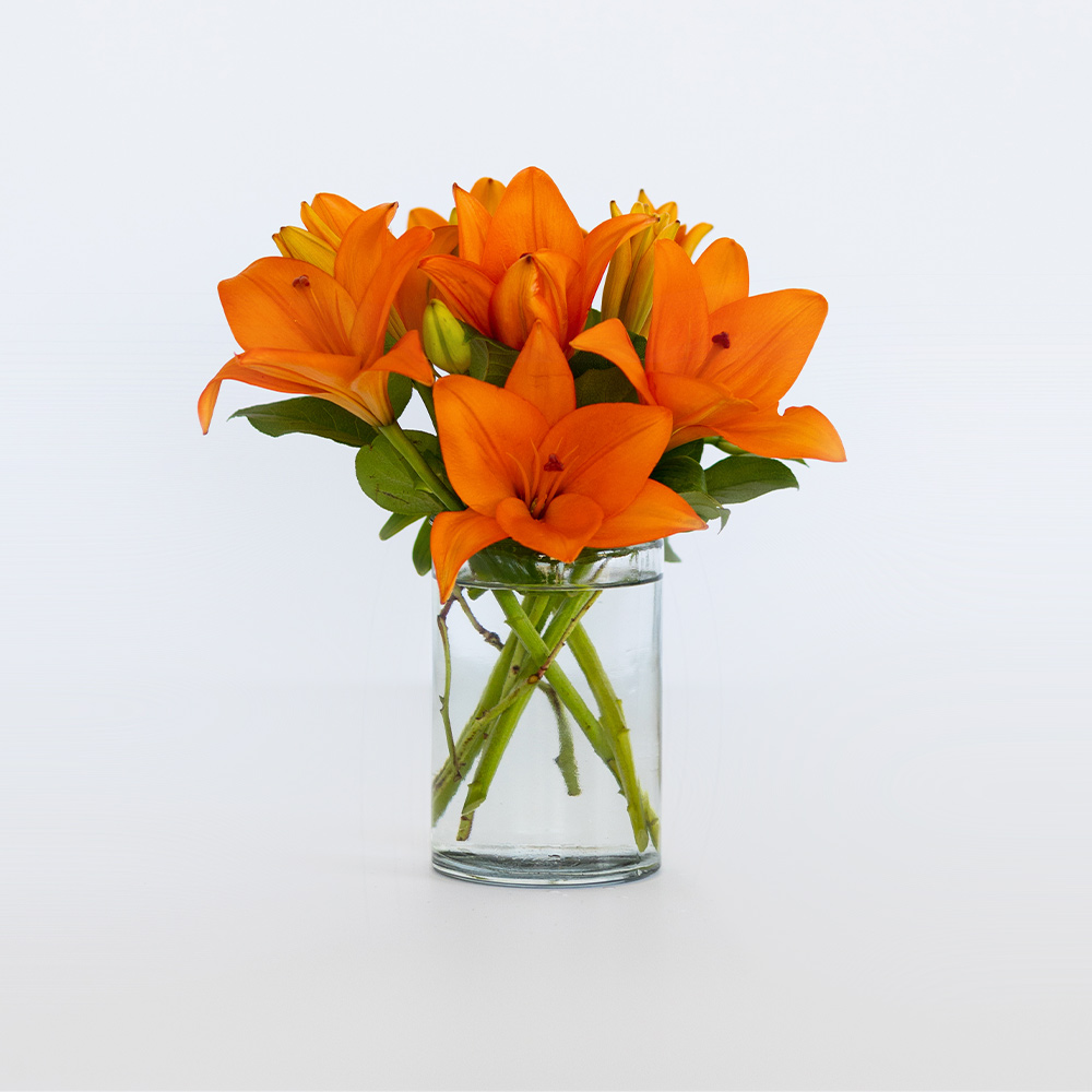 Thoughtful Sentiment