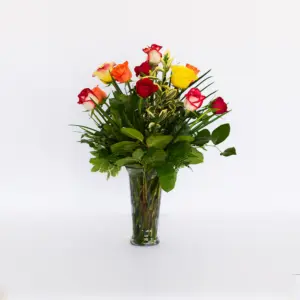 Colorful Dozen