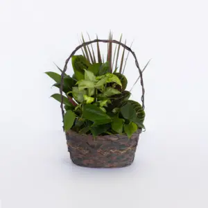 Garden Basket