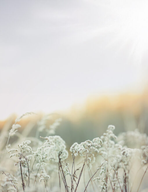 Patricia Jean Morin - Roper and Sons